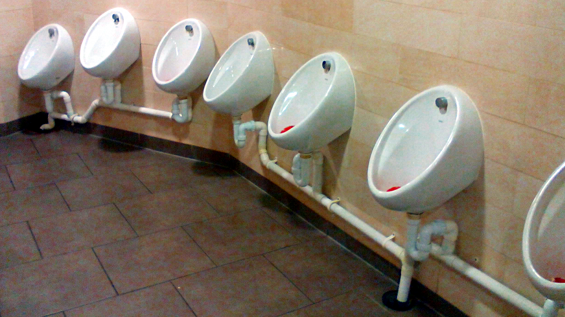 Bild "Reisen:201_03_Irland_Toilettenanlage.png"